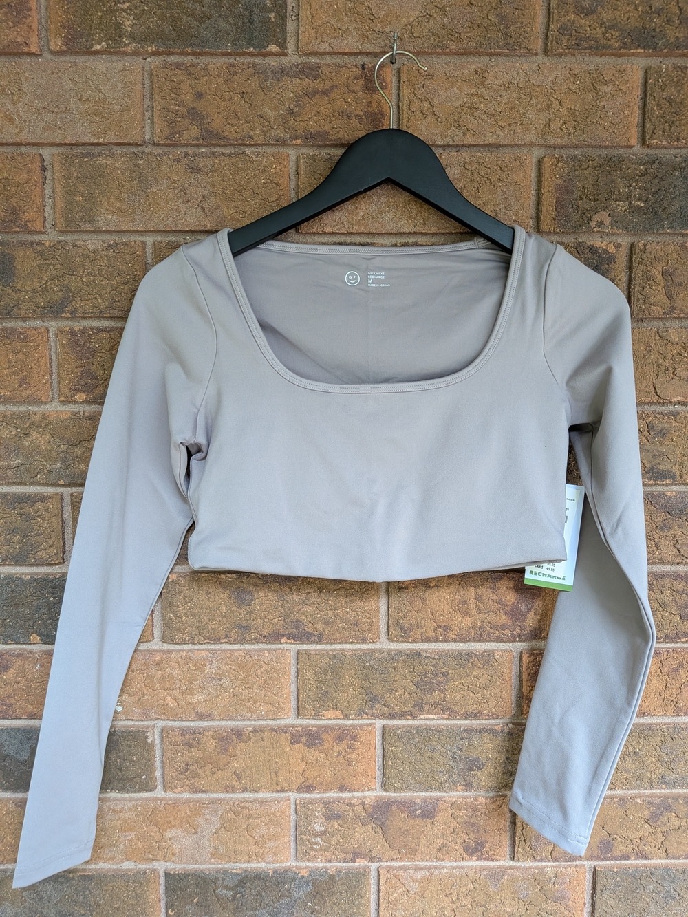 Gilly Hicks Scoop-Neck Long Sleeve Crop Top - Taupe